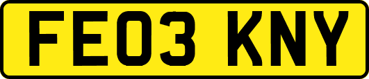 FE03KNY