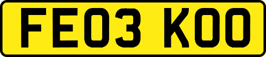 FE03KOO