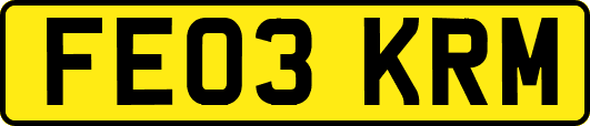 FE03KRM