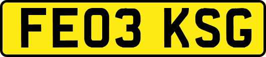 FE03KSG