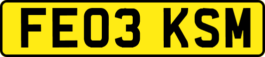 FE03KSM