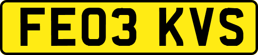 FE03KVS