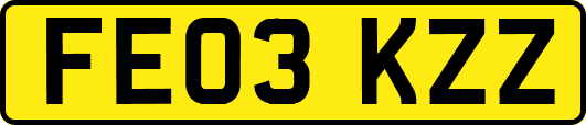 FE03KZZ