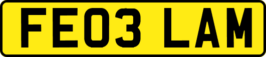 FE03LAM