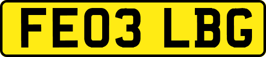 FE03LBG