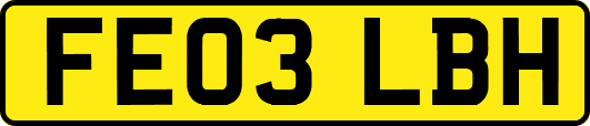 FE03LBH