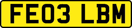 FE03LBM