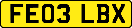 FE03LBX