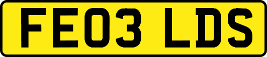 FE03LDS