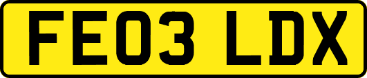 FE03LDX