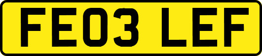 FE03LEF