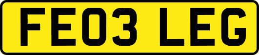 FE03LEG