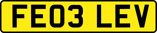 FE03LEV