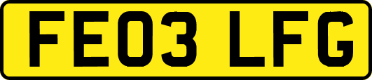FE03LFG