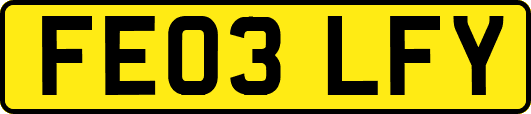FE03LFY