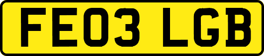 FE03LGB