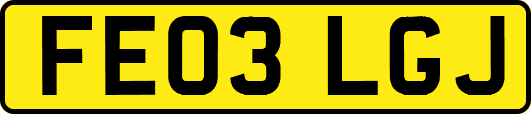 FE03LGJ