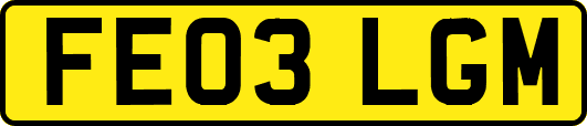 FE03LGM