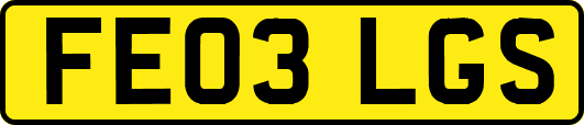 FE03LGS