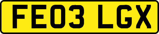 FE03LGX