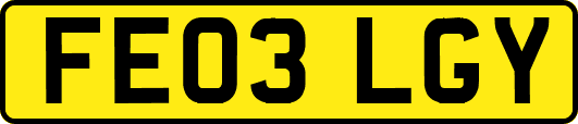 FE03LGY