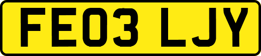 FE03LJY