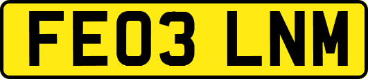 FE03LNM