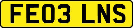 FE03LNS