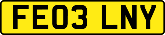 FE03LNY