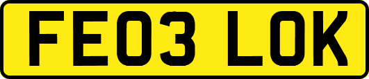 FE03LOK