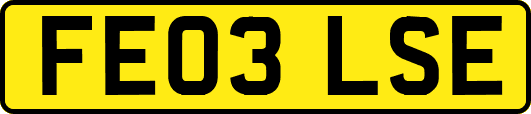 FE03LSE