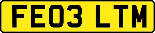 FE03LTM