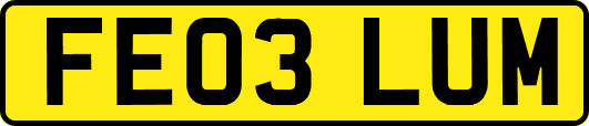 FE03LUM