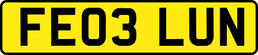 FE03LUN
