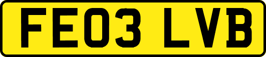 FE03LVB