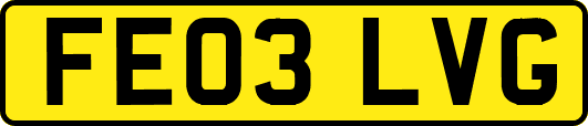 FE03LVG