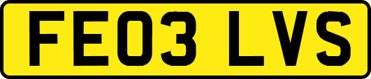 FE03LVS