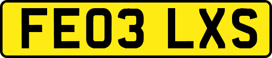 FE03LXS
