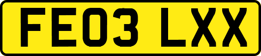FE03LXX