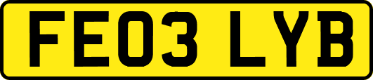 FE03LYB