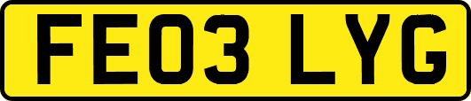 FE03LYG