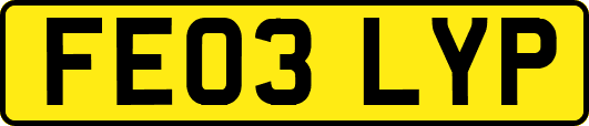 FE03LYP