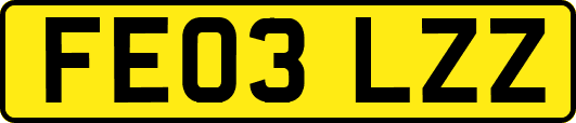 FE03LZZ