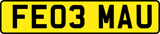 FE03MAU