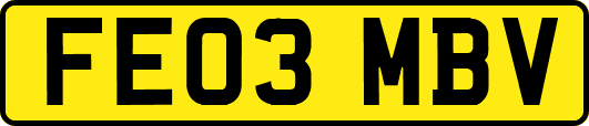 FE03MBV