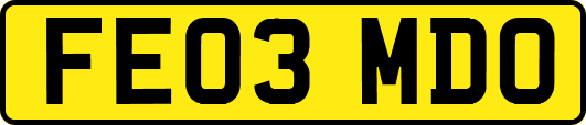 FE03MDO