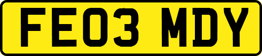 FE03MDY