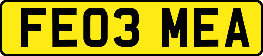 FE03MEA