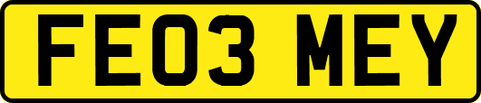FE03MEY