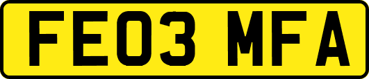 FE03MFA